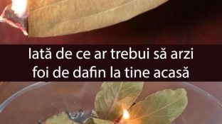 Iată 12 lucruri incredibile care se întâmplă atunci când arzi o frunză de dafin acasă